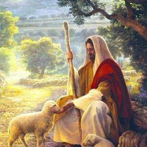 Meet your Posher, Yolanda